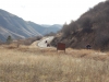 Ride from White Bird to Pittsburg Landing Marina on the Snake River