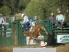 Bull Ridin' 2015 Rodeo