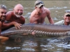 sturgeon sturgeon