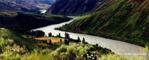 Hammer Creek - View from Above  Photo by Tony Carlson - Eye of Idaho