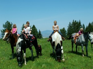 Click to visit website WB Summit Lodge