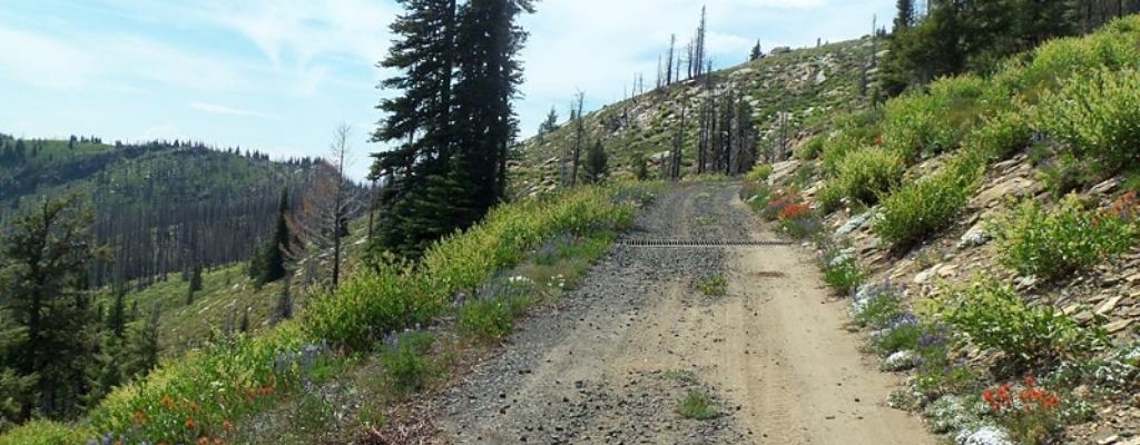 ATV/UTV Trails & Roads near White Bird Idaho