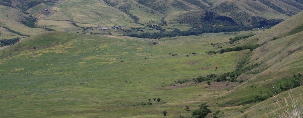 Battle of White Bird Canyon – June 17, 1877
