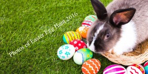 Easter Egg Hunt 2016