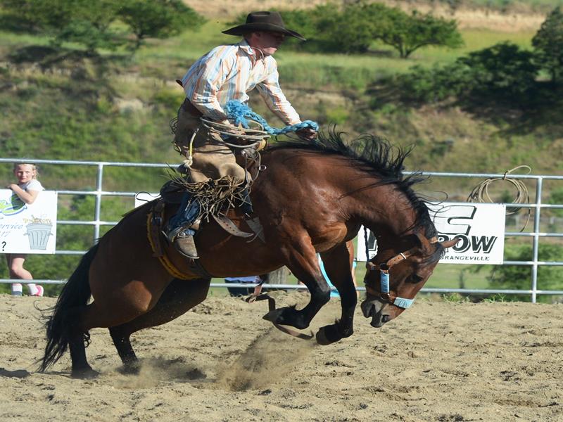 Rodeo 2017 Ranch Bronc - Konnyr Marek