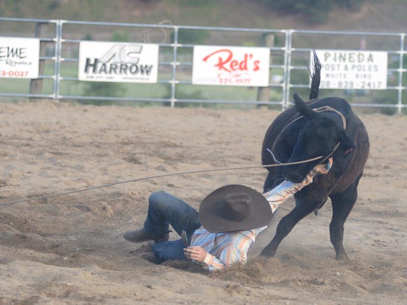 2017 Rodeo Wild Cow Milking - Konnyr Marek