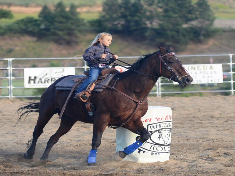 Rodeo 2017 Young Barrel Racer