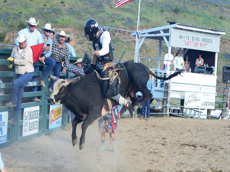 Rodeo 2017 Photo7