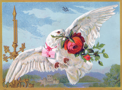 Vintage Bird Image - White Dove with Roses